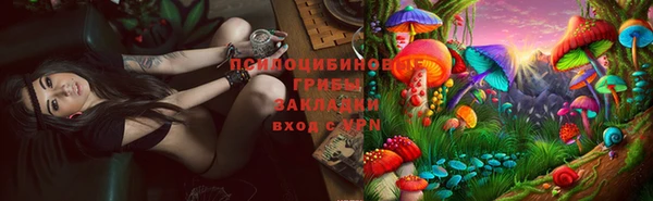MDMA Няндома