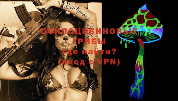 MDMA Няндома